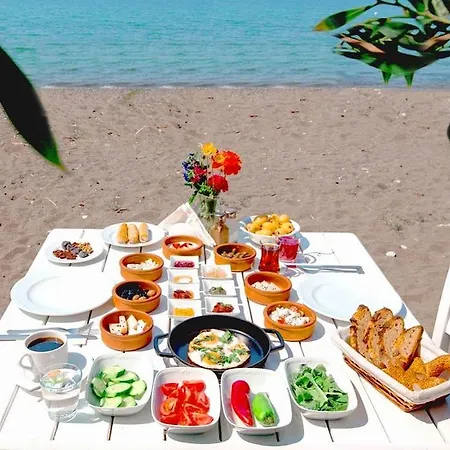Yonca