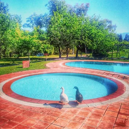 Hotel Yonca