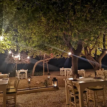 Yonca Fethiye