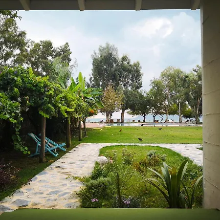 Yonca 3*